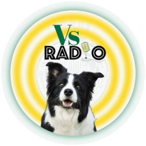 VS RADIO logo