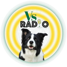 logo VS RADIO